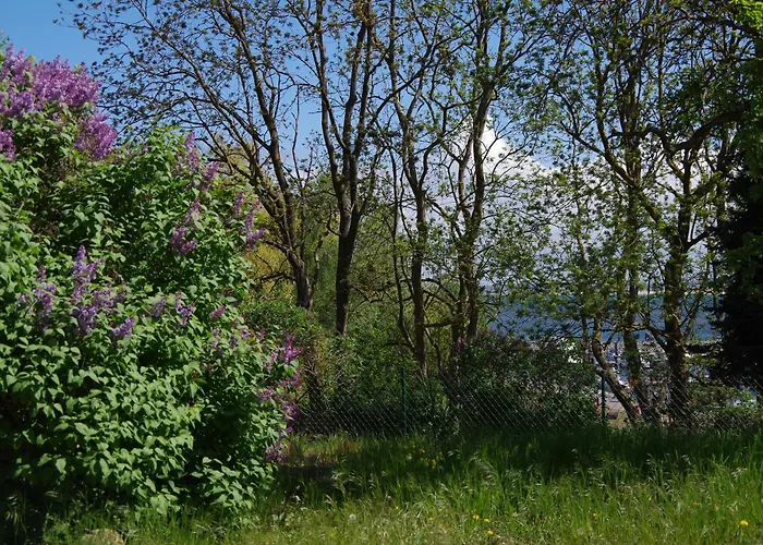 Apartamento Lotsenhaus